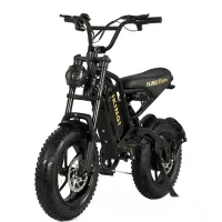 Электровелосипед IKINGI S5 PRO MINI