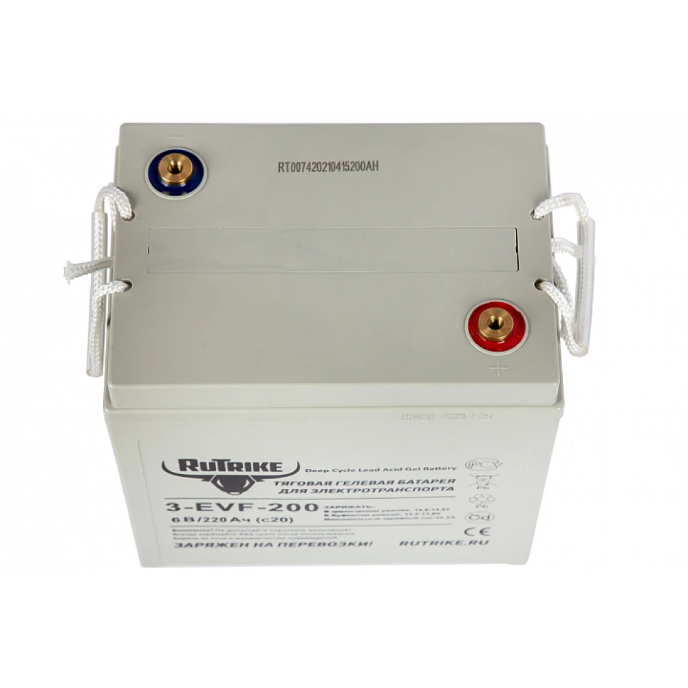 Тяговый аккумулятор RuTrike 3-EVF-200 (6V200A/H C3) 1